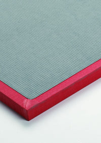Matte Tatami MMA