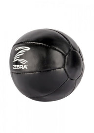 Medizinball Leder