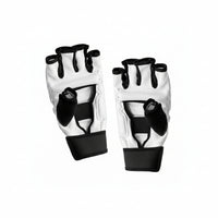 Taekwondo Handschuh Fit Evolution